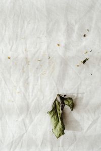 Kaboompics - Dried Leaf Fragments on White Linen for Botanical Texture Backgrounds