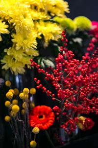 Red rowan with a colourful arrangement of flowers