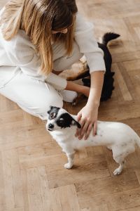 Kaboompics - Woman with Two Small Dogs at Home