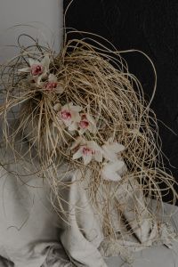 Kaboompics - White Flowers and Dried Grass in a Sculptural Vase