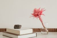 Kaboompics - Stacked Books on a Light Marble Surface