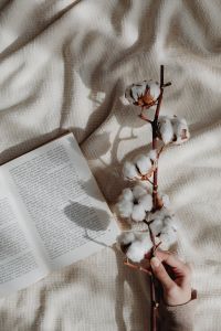 Kaboompics - Open Book With Cotton Branch on Beige Blanket