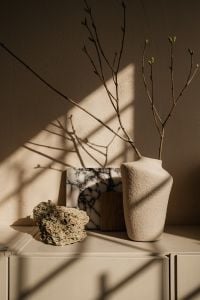 Natural Still Life with Stone, Wood and Sunlit Shadows