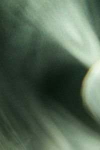 Kaboompics - Abstract Green Light Rays for Website Backgrounds