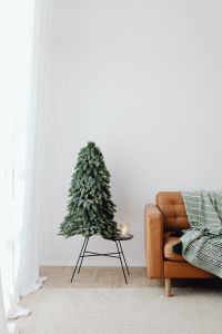 Kaboompics - Minimal Tree Styling With Blank White Wall