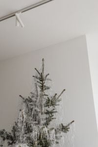 Kaboompics - Silver Christmas Tree with White Sheer Curtains