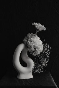 Kaboompics - Monochrome White Sculptural Vase with Floral Arrangement