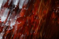Kaboompics - Red Plum Leaves Blur Background Diagonal