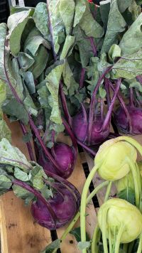 Kaboompics - Fresh Purple And Green Kohlrabi At A Farmers Market