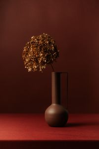 Kaboompics - Dried Hydrangea in Brown Pitcher on Burgundy Background, Botanical Decor