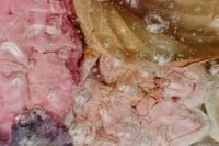 Kaboompics - Blush and Golden Petals Behind Water-Dappled Glass, Horizontal Abstract Botanical Background
