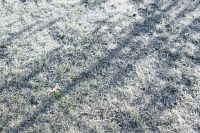 Kaboompics - Frost covered grass in the morning