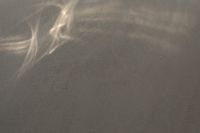 Kaboompics - Wavy Light Reflections on Textured Gray Wall Background
