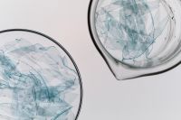 Kaboompics - Microplastic Pieces In Laboratory Dish Top View Minimal Composition