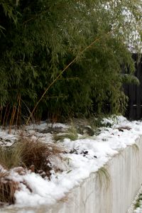 Kaboompics - Snowy Garden Border Beneath a Draping Evergreen Tree, Winter Landscape