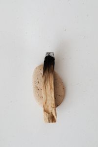 Kaboompics - Single Palo Santo Smudging Stick on an Oval Stone with Copy Space