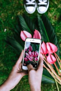 Kaboompics - Woman Photographing a Pink Anthurium and Palm Leaf Display