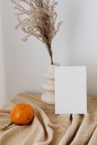 Kaboompics - Dried Branches, White Vase and Orange beside a Blank Business Card