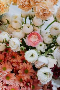 Kaboompics - Ranunculus, buttercups, spearworts and water crowfoots