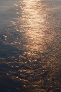Kaboompics - Golden Sunset Light Reflection on Sea Water Surface, Baltic