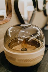 Kaboompics - Glass Dome Table Lamp with Exposed Bulb, Modern Lighting Detail