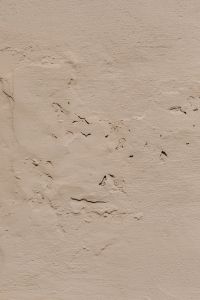 Kaboompics - Fine Cracks and Chips across Beige Plaster, Aged Wall Texture for Neutral Design