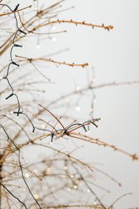 Kaboompics - Minimal Twig Christmas Lights With White Copy Space