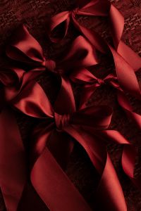Kaboompics - Burgundy Satin Ribbon Bows on Dark Textile
