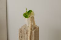 Kaboompics - Japandi Decor with Green Plant and Ceramic Vase on Travertine Pedestal