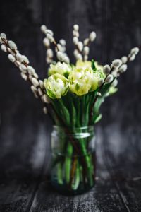 Close-ups of little yellow flowers and catkins in a glass jar