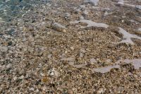 Kaboompics - Pebble Beach Shoreline with Clear Seawater and Scattered White Foam