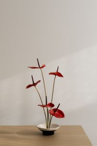 Red Anthurium Ikebana Flower Arrangement