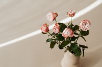 Kaboompics - Wide Rose Bouquet in Vase with Diagonal Sunlight and Copy Space