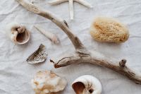 Kaboompics - Coastal Still Life with Driftwood, Seashells and Sea Sponge on Textured Linen