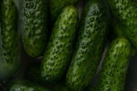 Kaboompics - Fresh Green Cucumbers in a Dark Moody Close-Up Food Background