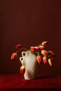 Moody Floral Still Life with Red Tulips and Dried Hydrangeas on Burgundy Backgrounds