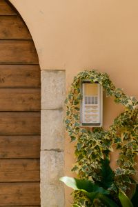 Kaboompics - Ivy Covered Doorbell on Peach Wall with Wooden Arched Door