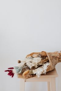 Kaboompics - Pampas Grass and Dried Foliage Arrangement against a Soft Neutral Studio Background