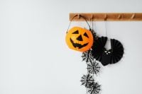 Kaboompics - Halloween Pumpkin Bucket and Black Paper Bat on Spiderweb Wall