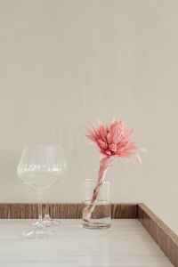 Kaboompics - Pink Bromeliad Flower and Silver Vase
