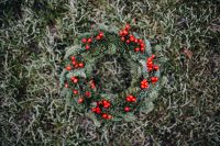 Kaboompics - Close-Up Holly Wreath with Bright Red Winter Berries