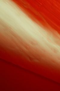 Kaboompics - Red and Pale Green Motion Blur Phone Wallpaper