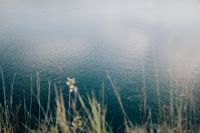 Kaboompics - Soft Light on Water Behind Shoreline Grasses