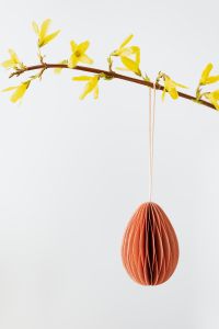 Kaboompics - Easter with Forsythia