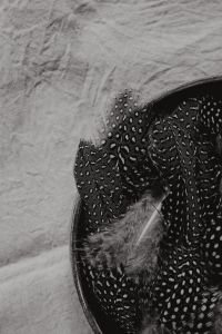 Kaboompics - Monochrome Feather Still Life in a Bowl on Textured Fabric