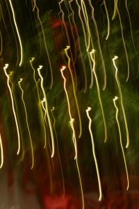 Kaboompics - Vertical Christmas Light Trails on Evergreen Tree with Red Ribbons