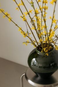 Kaboompics - Yellow Spring Blossoms in a Dark Green Vase on a Metal Stool