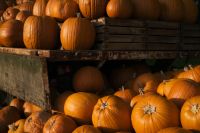 Kaboompics - Pumpkins Displayed on a Weathered Farm Wagon