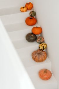 Pumpkin Aesthetic Fall Backgrounds and Minimal Autumn Still Life