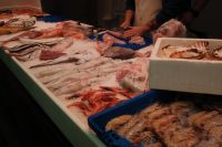 Kaboompics - Busy Seafood Market Counter with Langoustines, Fish and Ice
